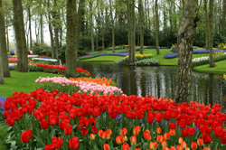 Cheekwood Botanical Gardens